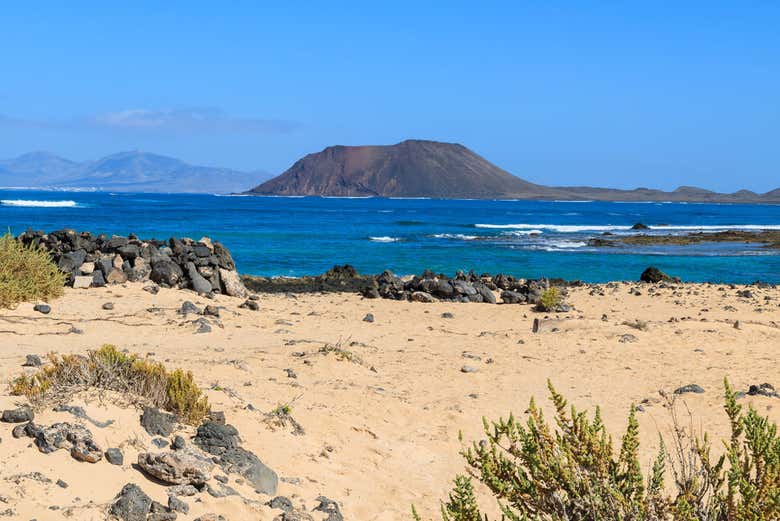 Take in the views of Lobos Island