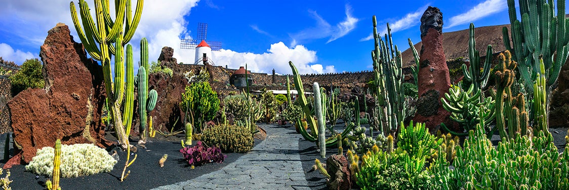 Jardin de Cactus - All You Need to Know BEFORE You Go (with Photos)