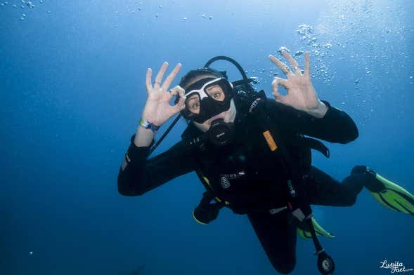 Diving Lanzarote: Museo de Atlántico