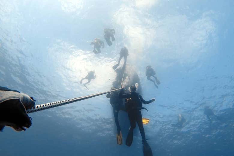 Playa Blanca Beginner Scuba Diving Experience Disfruta Lanzarote