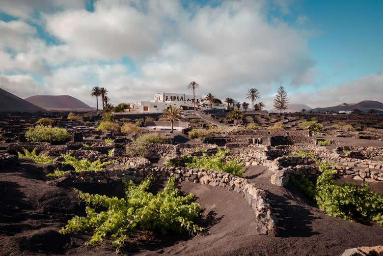 Finca Testeina